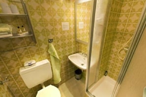 Shower, rainfall showerhead, hair dryer, towels - Pension Krämerhof Kulz (Thanstein)