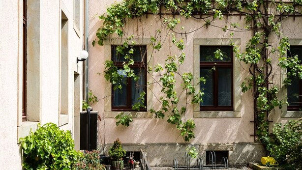 Ein Gebäude mit einer Stein-Fassade, zwei Fenstern mit dunklen Rahmen und einem kleinen Innenhof mit Metallzaun und Pflanzkübeln.