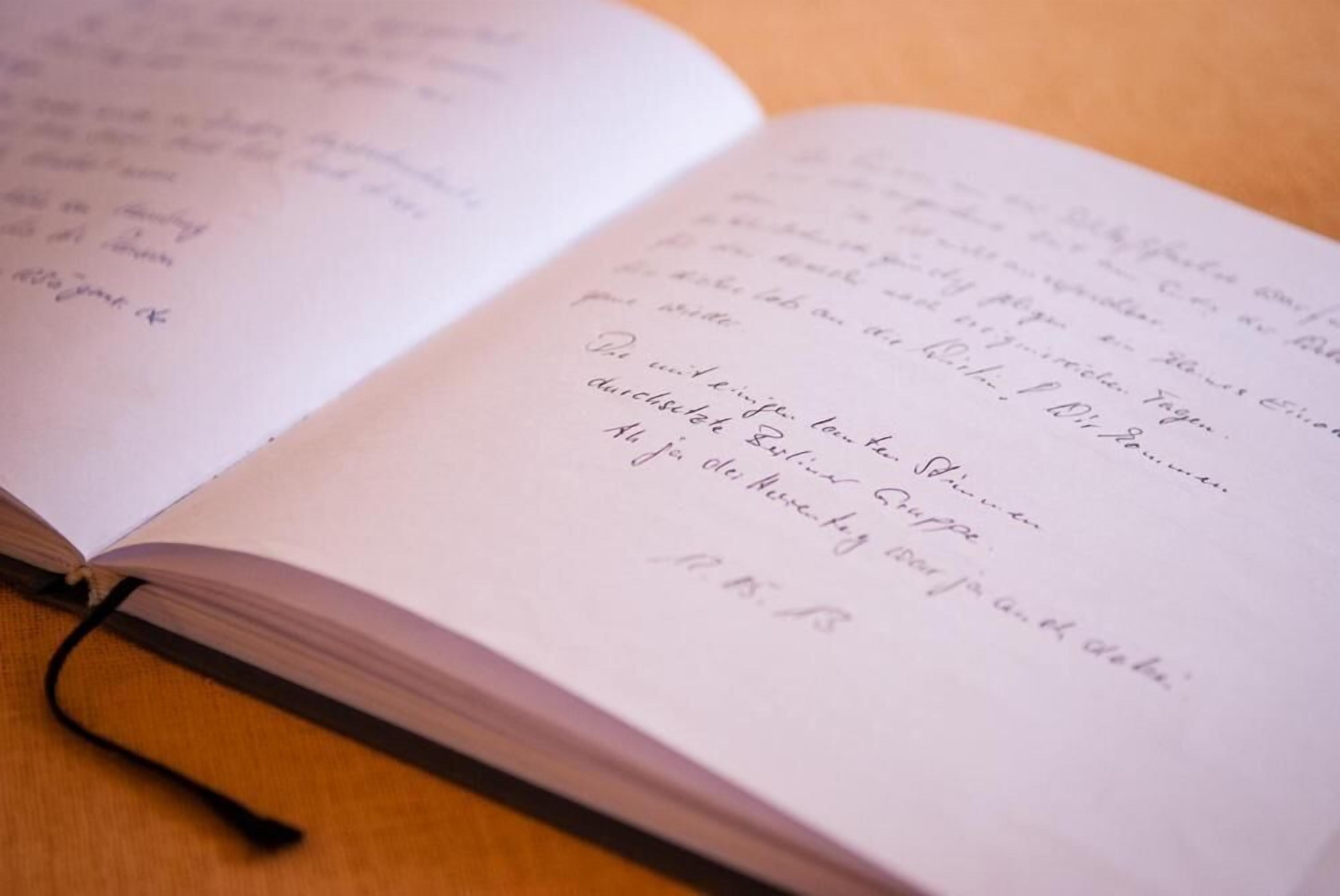 Foto - Pension an der Pillnitzer Schlossfähre