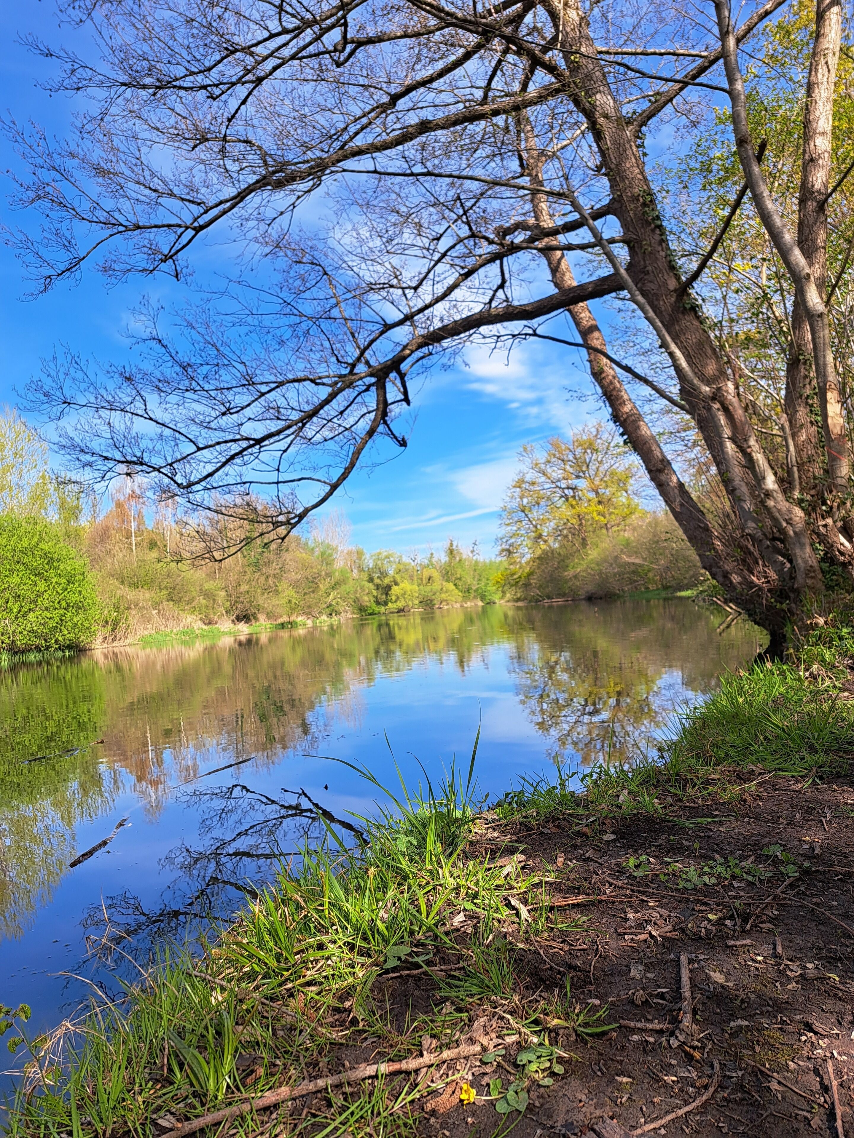 A calm river with trees and greenery.