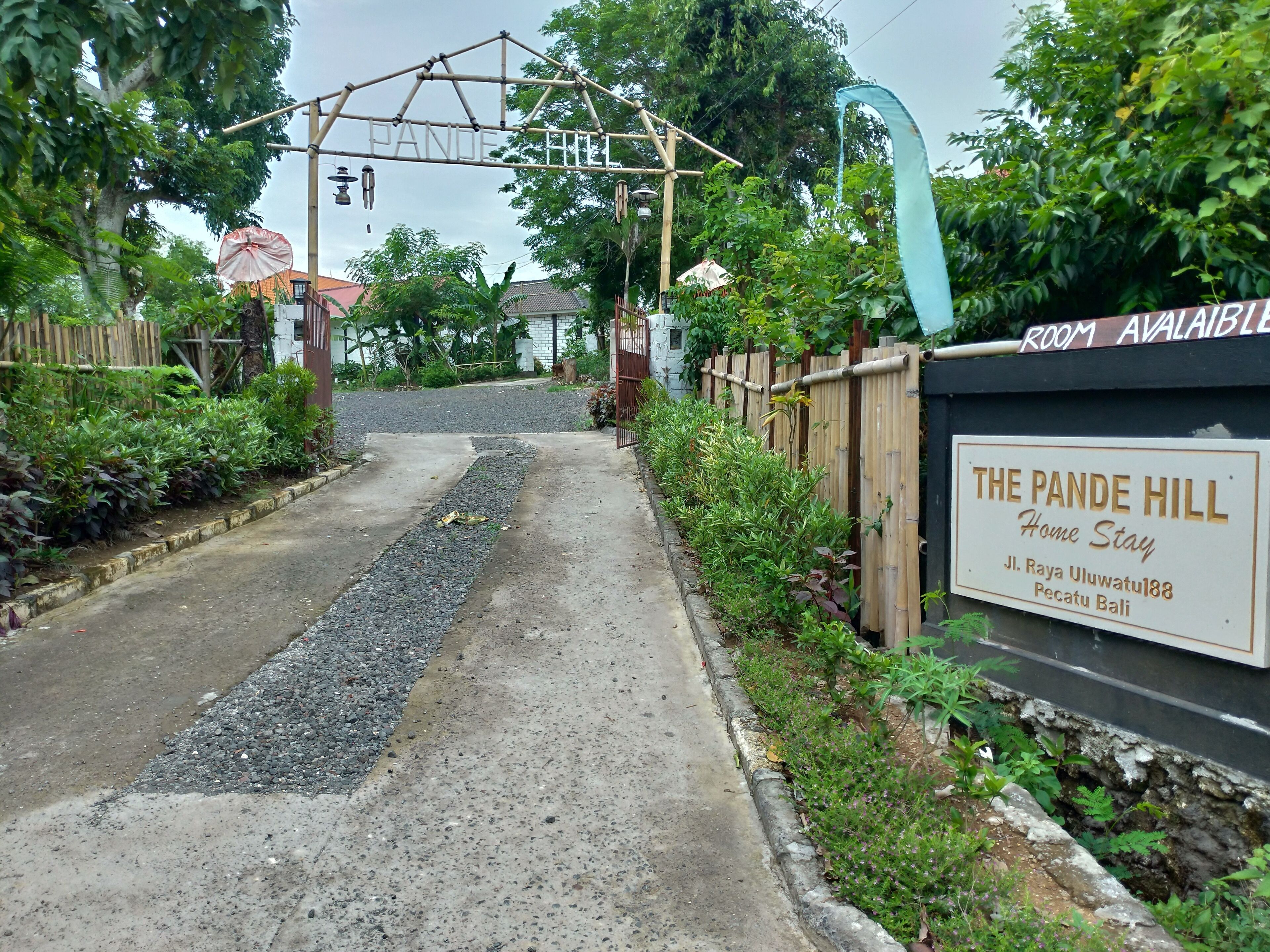 A pathway leading to The Pande Hill Home Stay, with a bamboo fence and greenery on the sides.