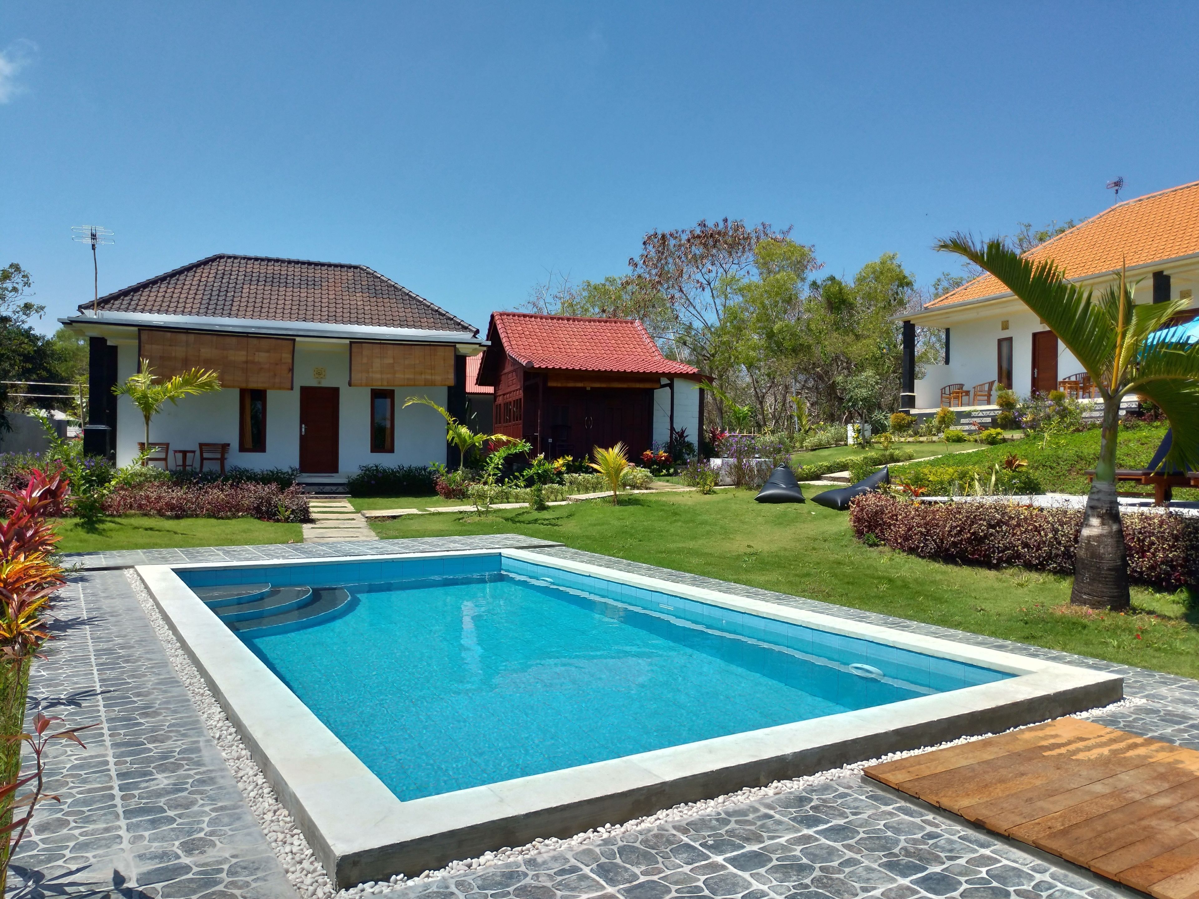 A swimming pool with a stone border, surrounded by a well-maintained lawn and a variety of plants.
