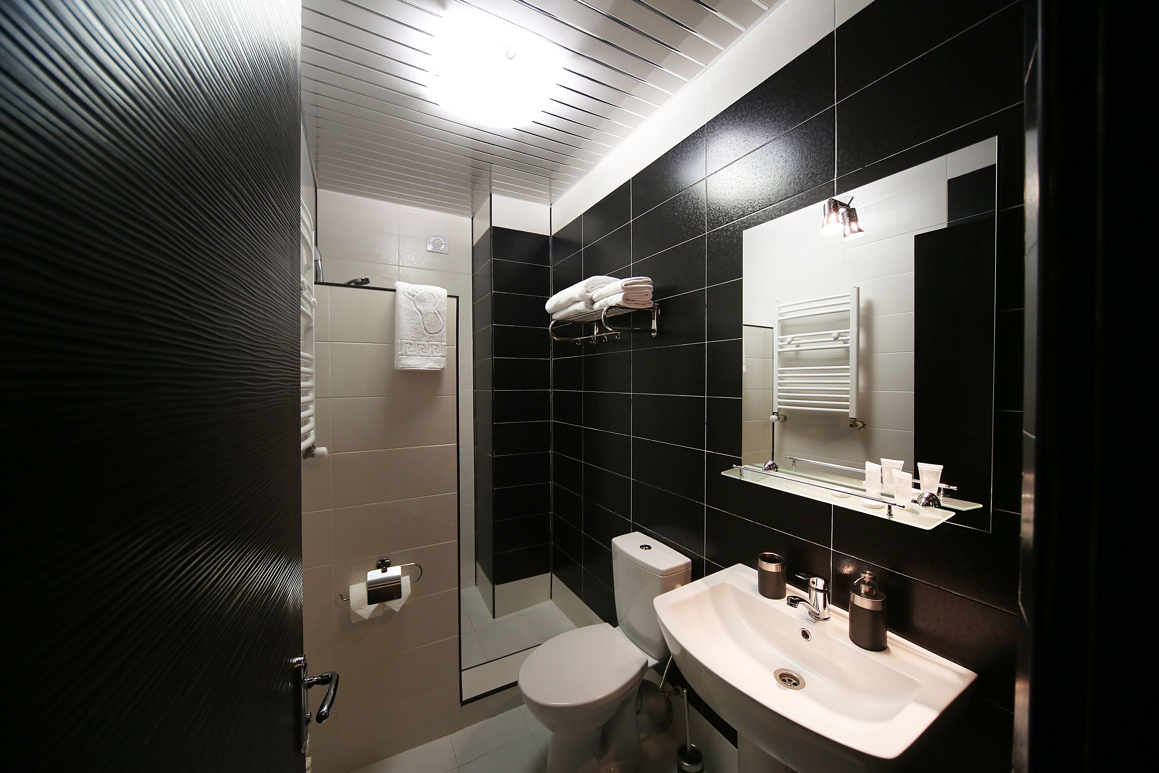 A modern bathroom with a shower, toilet, sink, and a mirror.