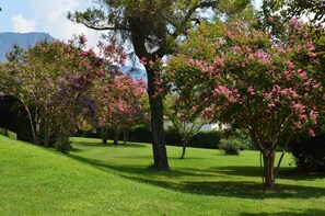 Garden - Tenuta Torellone (San Potito Sannitico)