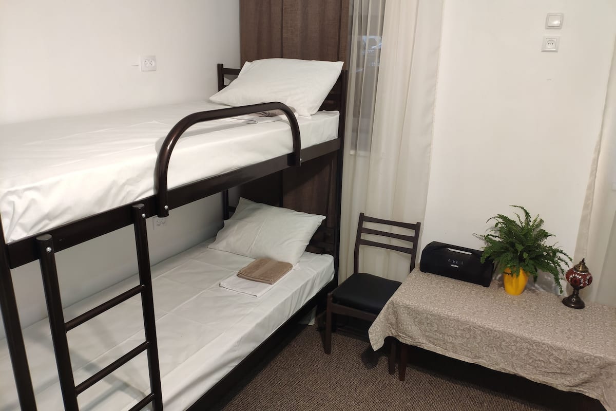 A bunk bed room with a small table and chair, a potted plant, and a lamp.
