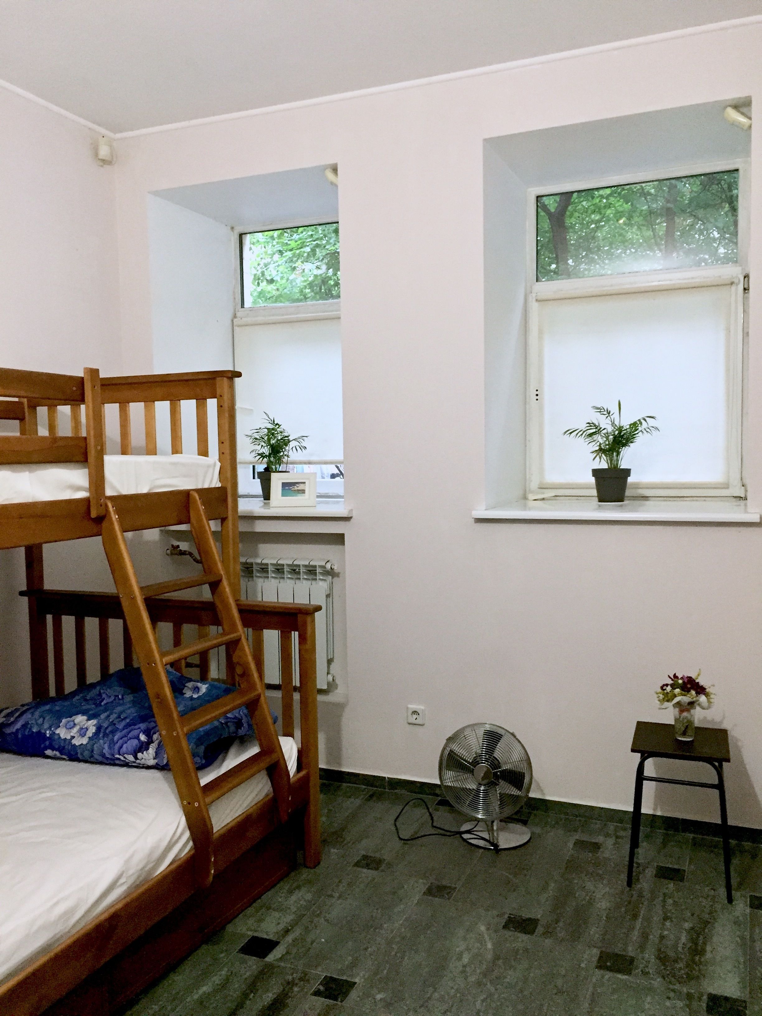 Una cama individual con escalera, una mesita con una planta en maceta, un ventilador de pie y una ventana con vistas a árboles.