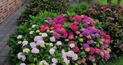 FRAULINDNERFerien - DZ Lüneburg