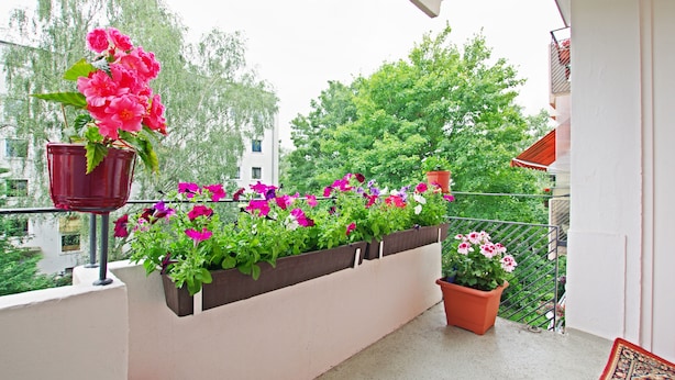 Balcony - Private Apartment Röblingweg (Hannover)