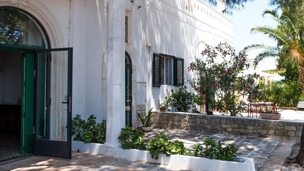 Um edifício branco com escadaria de pedra e plantas em vasos.
