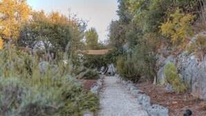 A gravel path leading through a garden with various shrubs and plants. - La Lamia 1864 Ostuni by Typney (Ostuni)