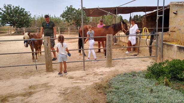 Un écurie où l’on peut observer des chevaux et des personnes qui interagissent.