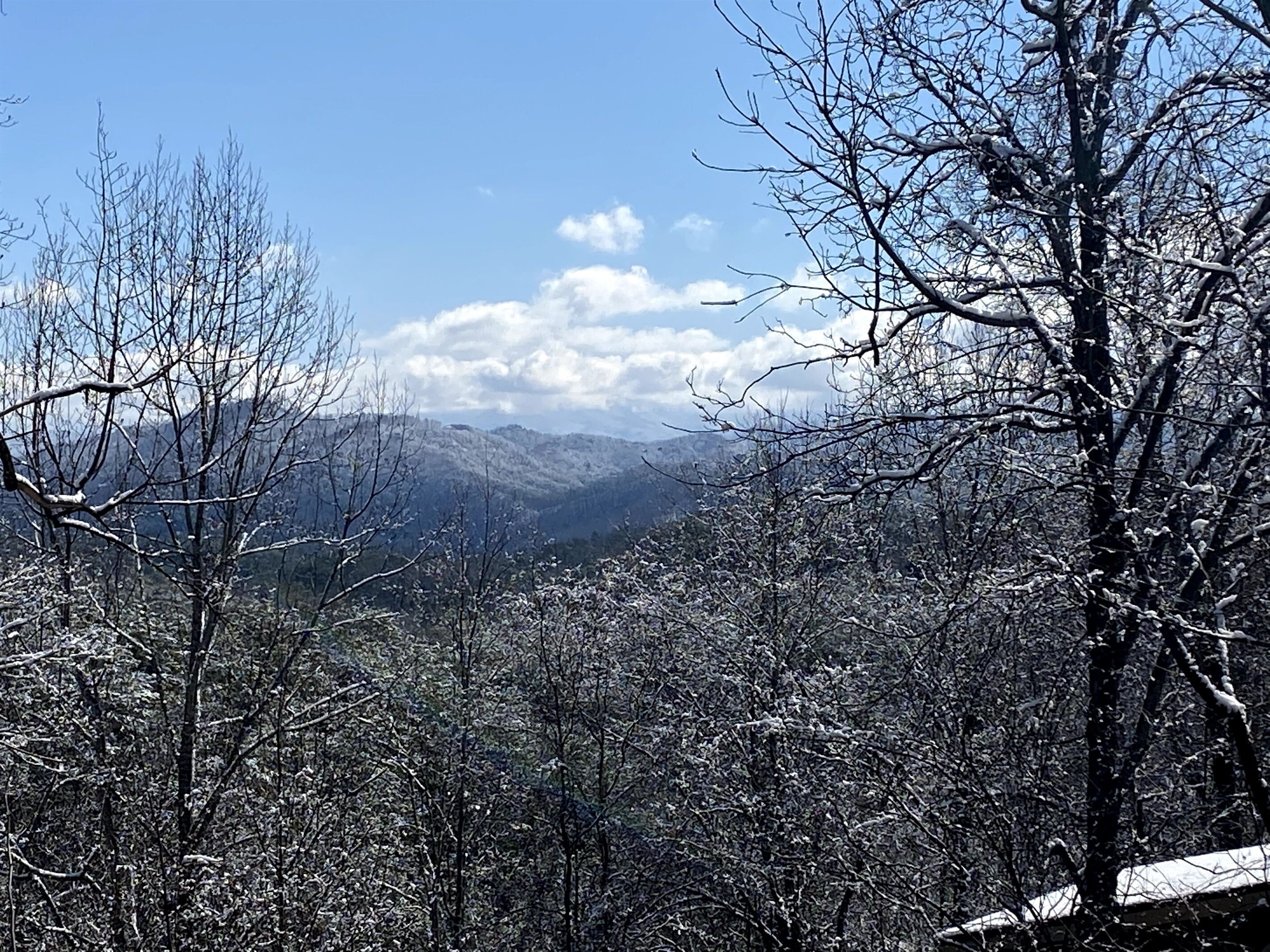 A mountainous landscape with snow-covered trees and a clear sky.