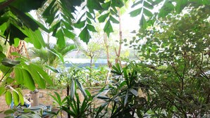 Ảnh chưa phân loại, 5 trong số 31 ảnh, nút