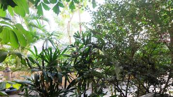Jardim