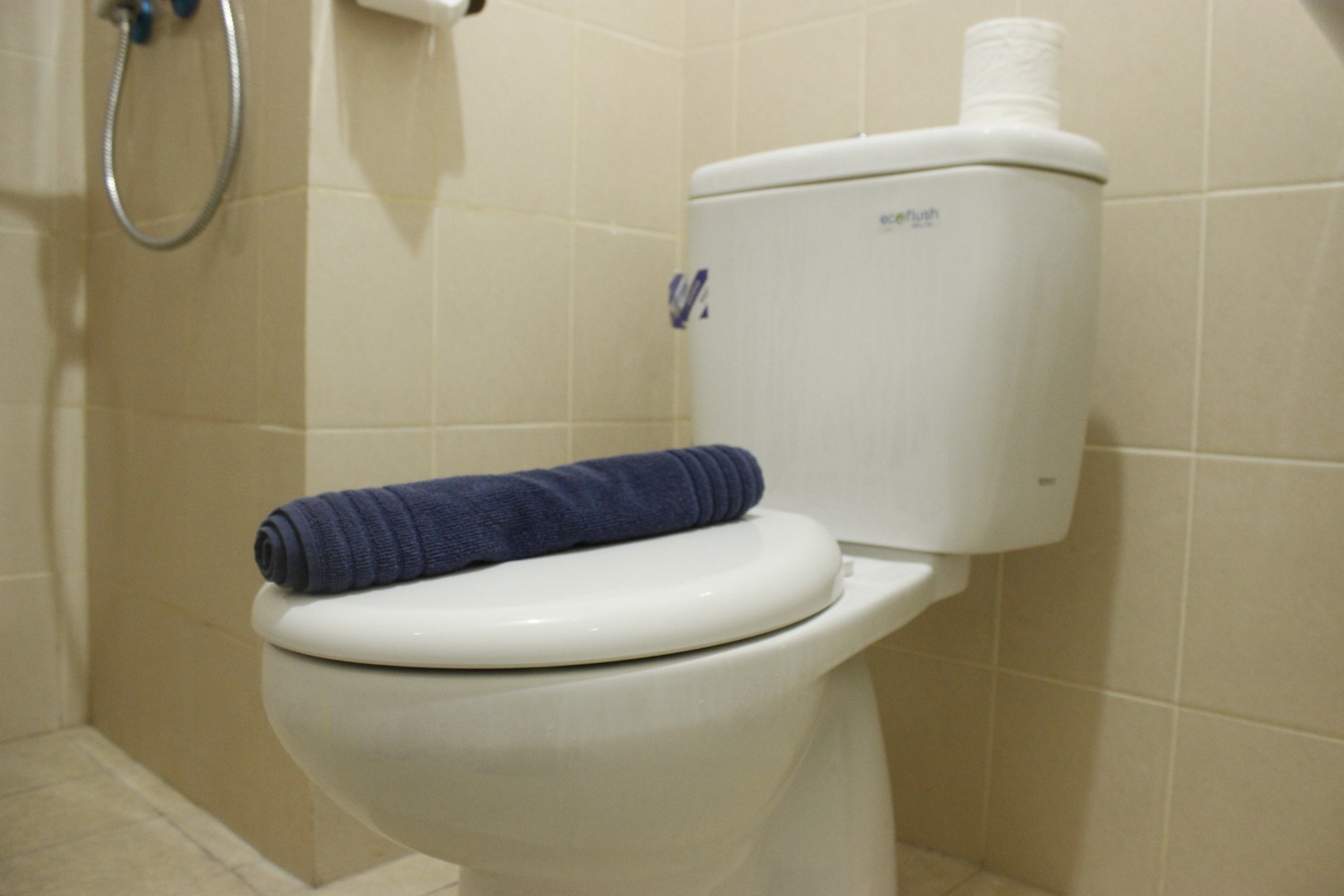 A toilet with a blue towel on the seat, a toilet paper holder, and a shower hose in the background.