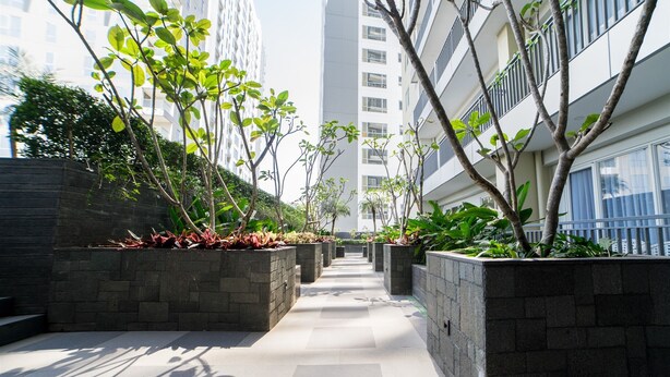 Un sendero bordeado por jardineras con follaje, que conduce hacia edificios altos.