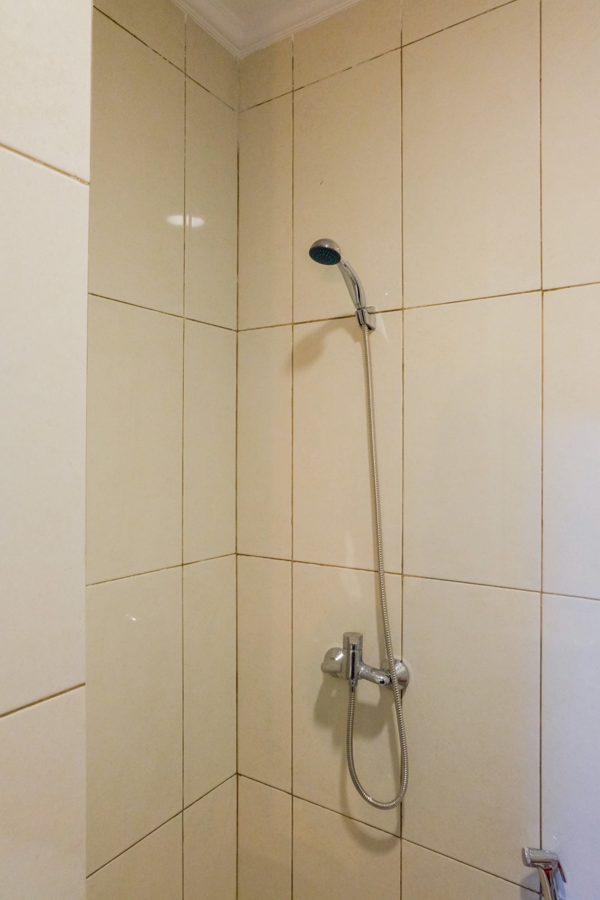 A shower with a handheld showerhead and a wall-mounted faucet.
