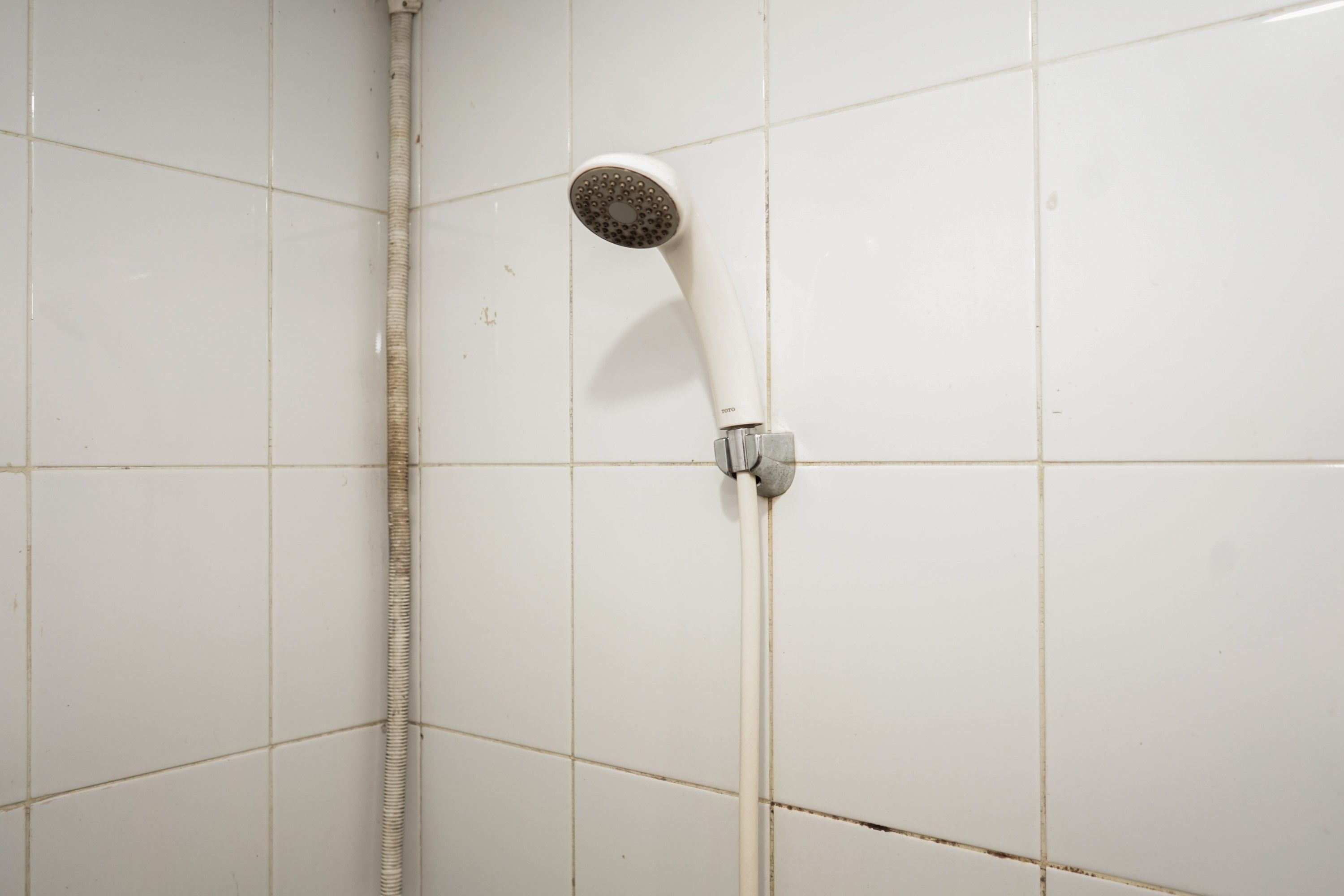 Une douche avec un tuyau blanc et une pomme de douche fixée à un mur carrelé.