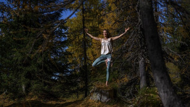 Une personne se tient debout sur une souche d’arbre dans une forêt, avec des arbres en arrière-plan.