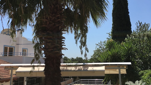 Outdoor pool - Meandros Boutique Hotel (Soke)