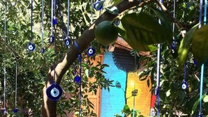 A tree with hanging blue ornaments and a colorful building in the background. - Olympos Alaturka Pansiyon (Kumluca)