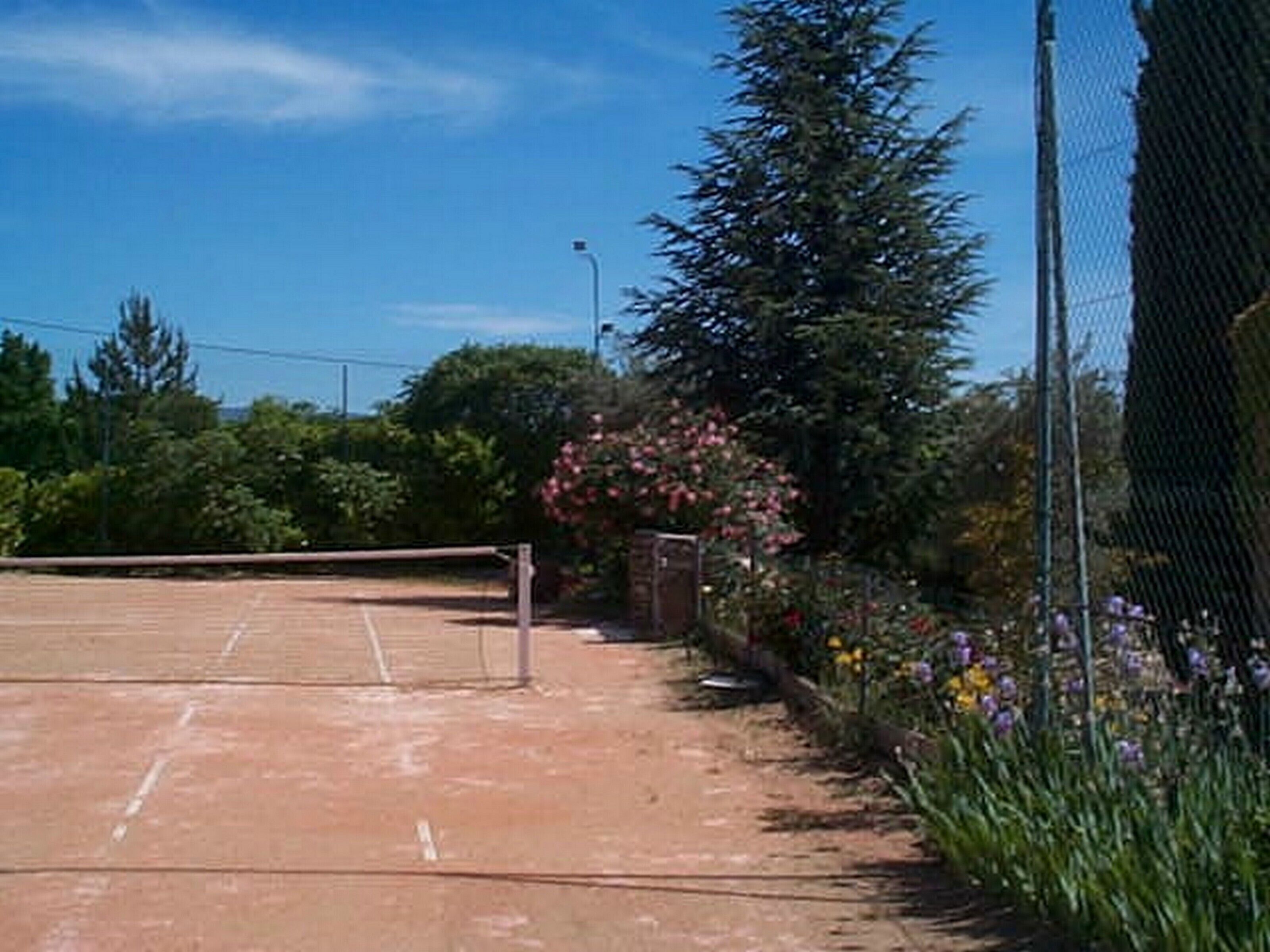 A tennis court with a net, surrounded by a fence and various plants.