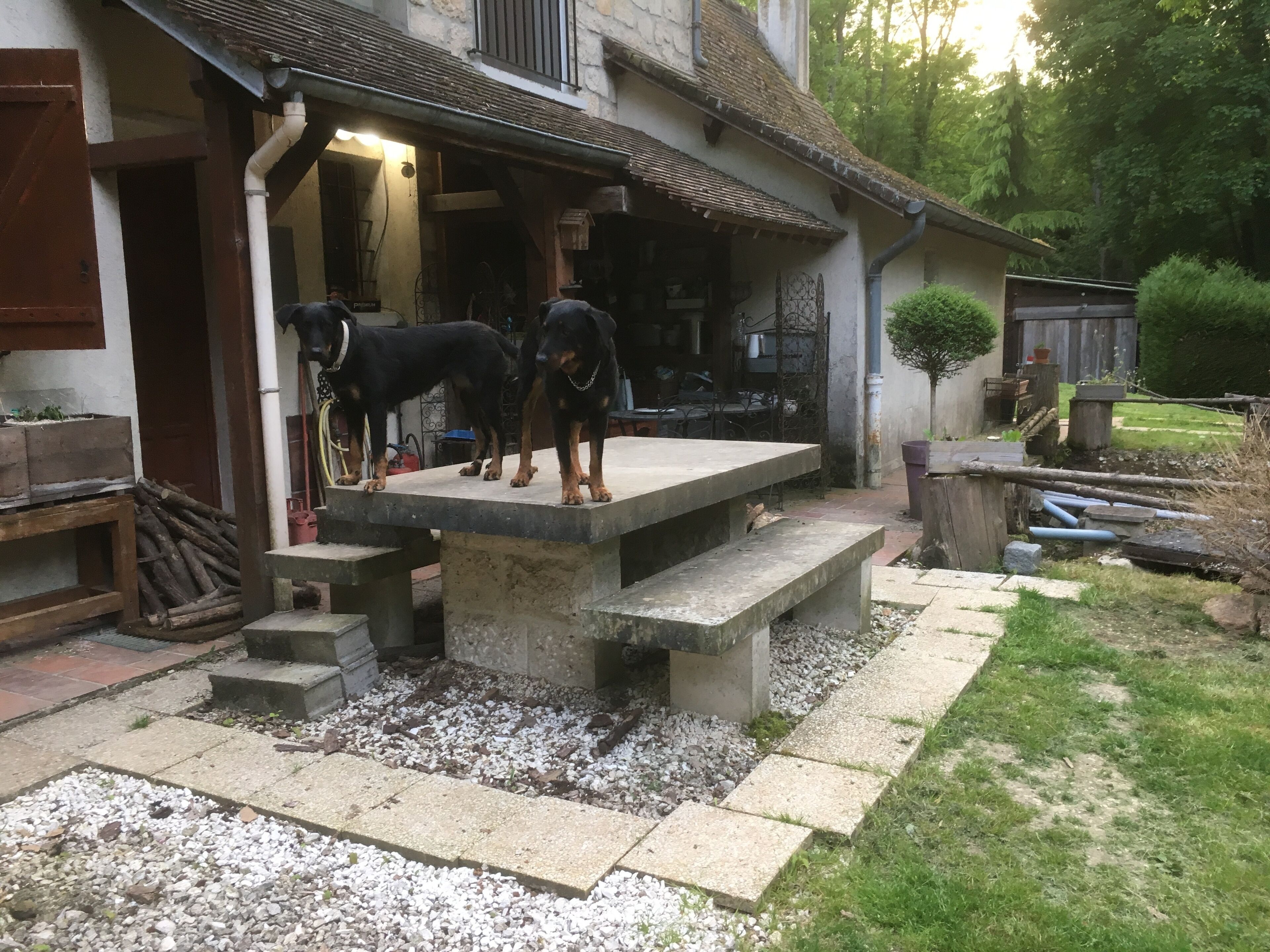 Restauration extérieure