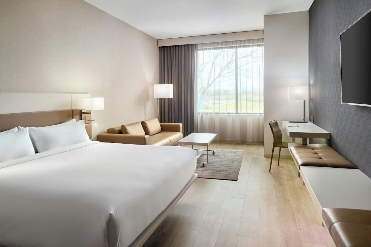 Una habitación de hotel moderna con una cama grande, un sofá, un escritorio y un televisor.