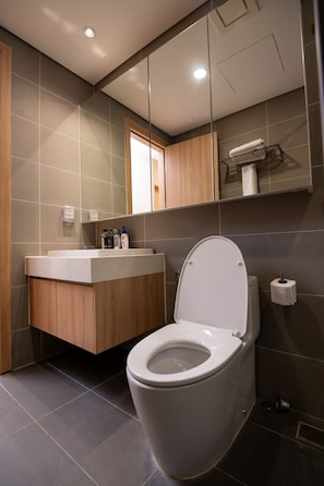 A modern bathroom with a toilet, a sink, and a mirror.