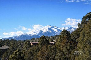 Uklassifisert bilde, 3 av 50, knapp