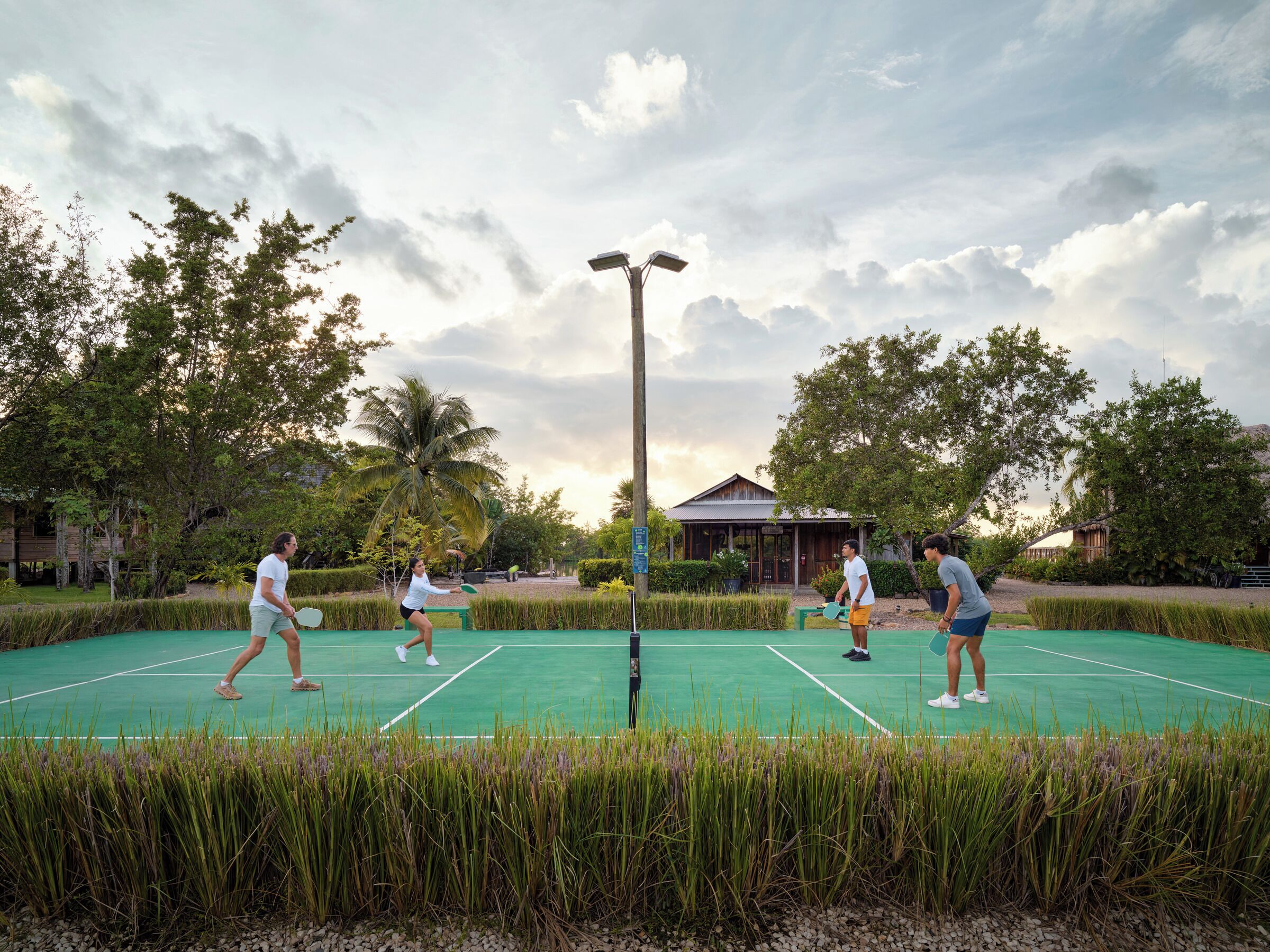 An outdoor tennis court with a green surface, surrounded by tall grass and trees.