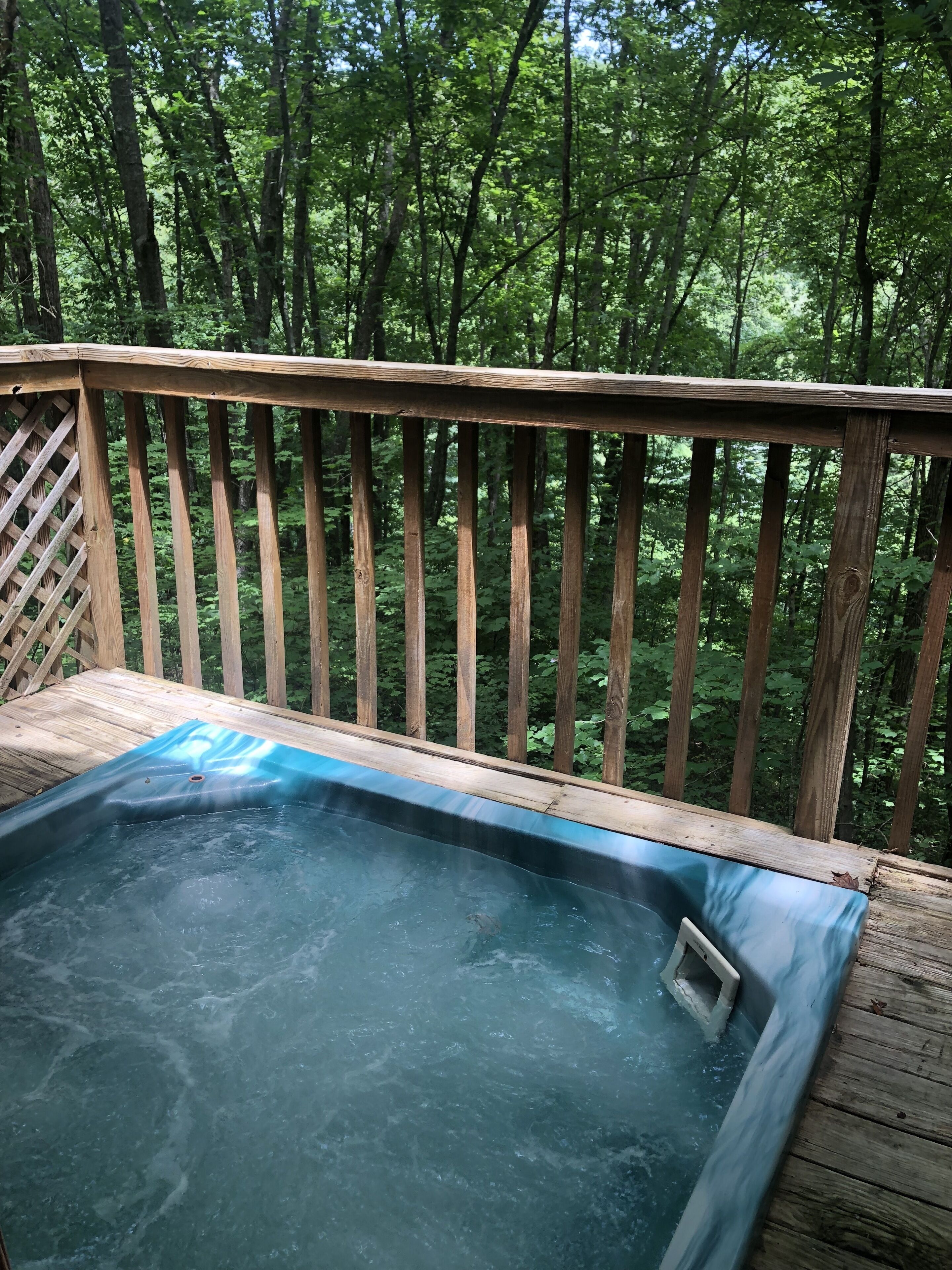 Wild Columbine | View from room