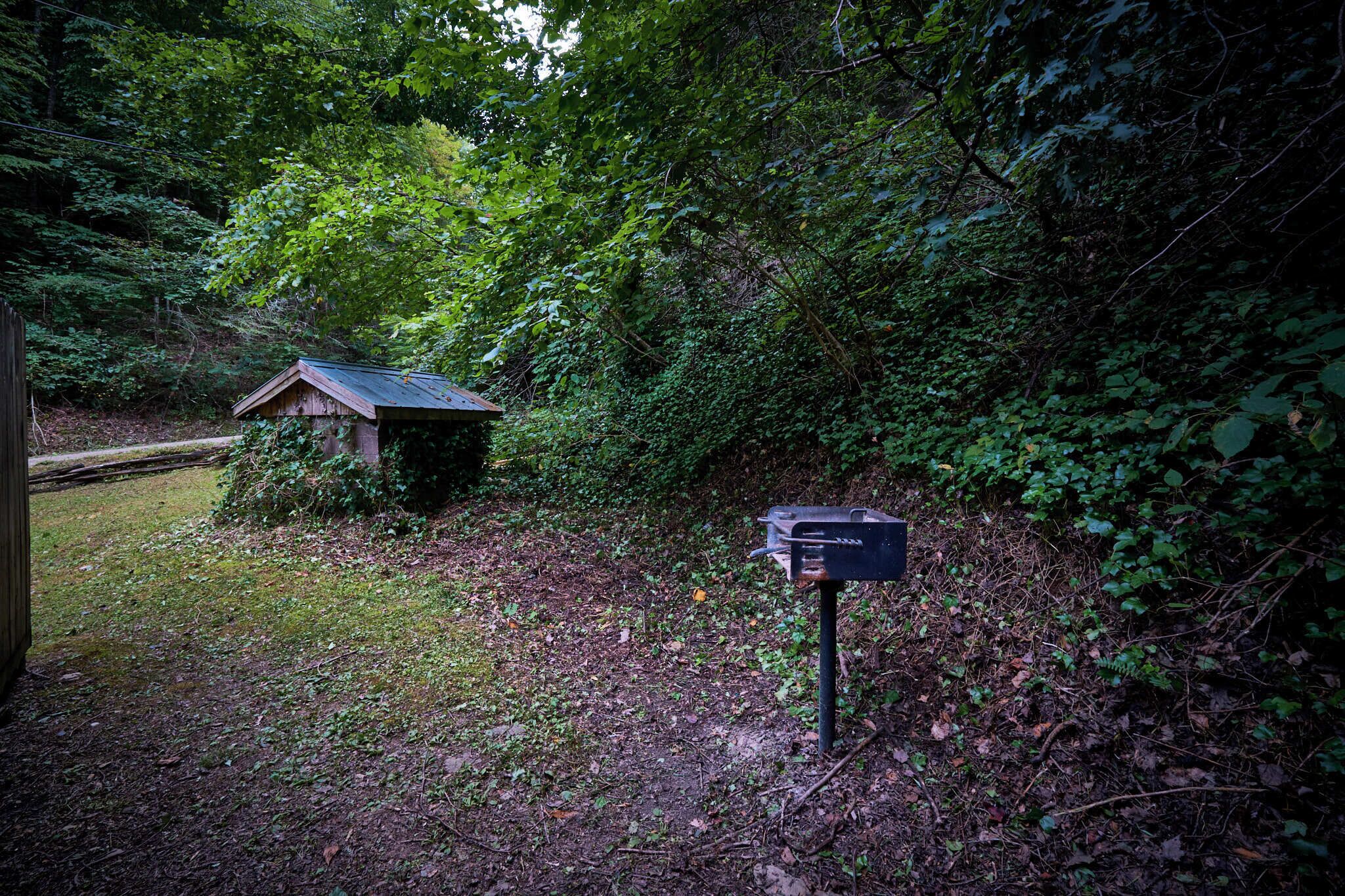 Una cabaña rústica rodeada de un bosque frondoso, un buzón y una valla de madera.