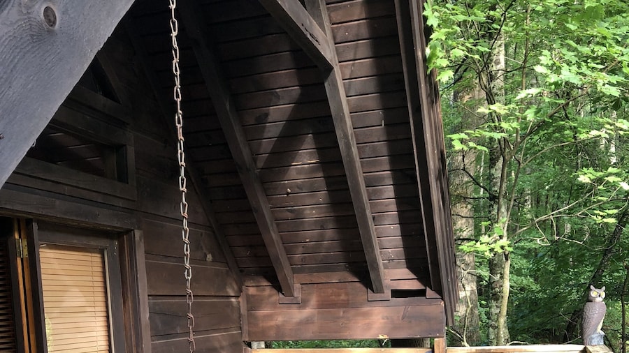 A Cabin In The Woods