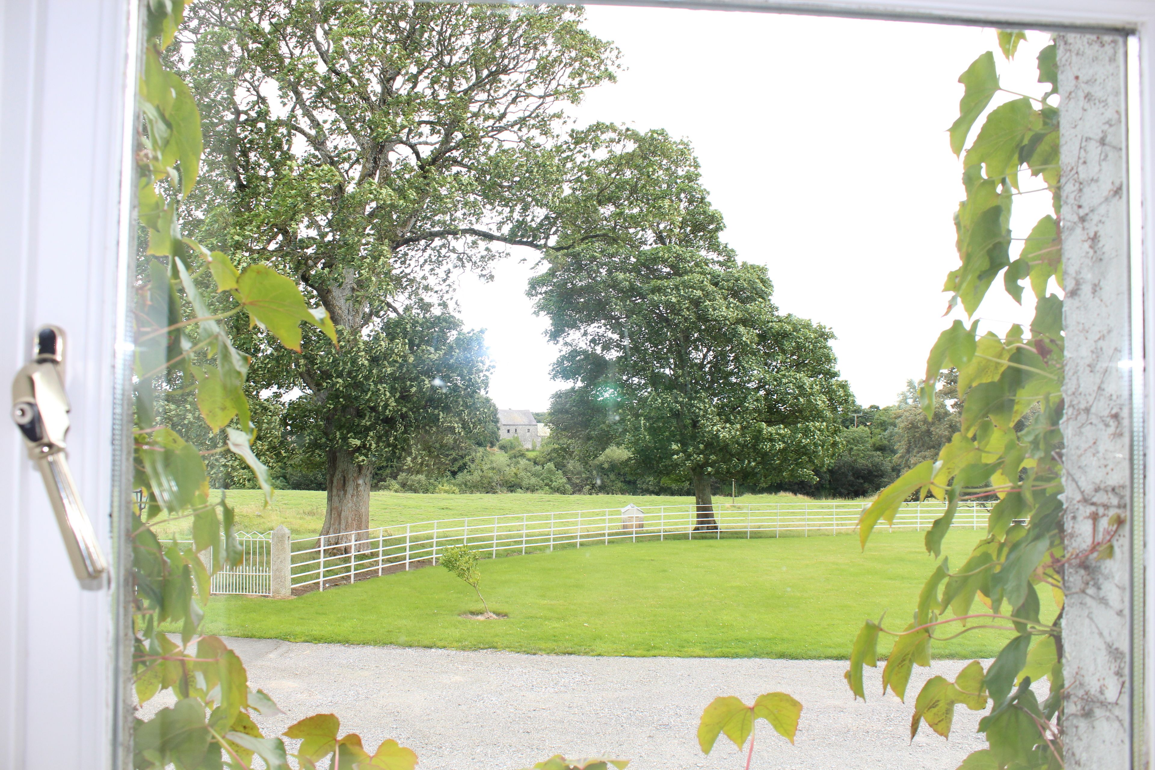 A view through a window with a white frame, a white fence, and a grassy area with trees.