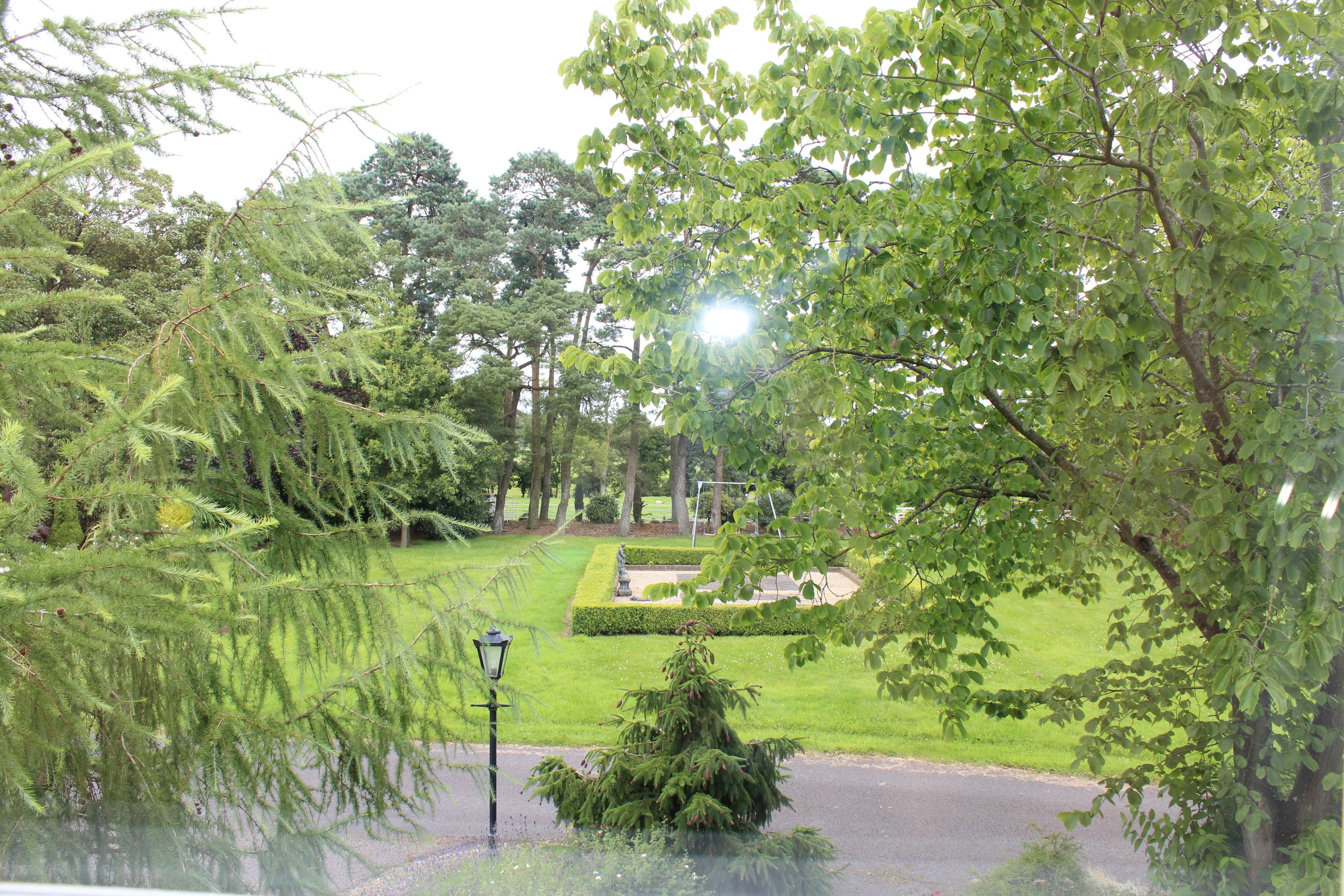 A lush park with a well-maintained lawn, a small tree, and a lamppost.