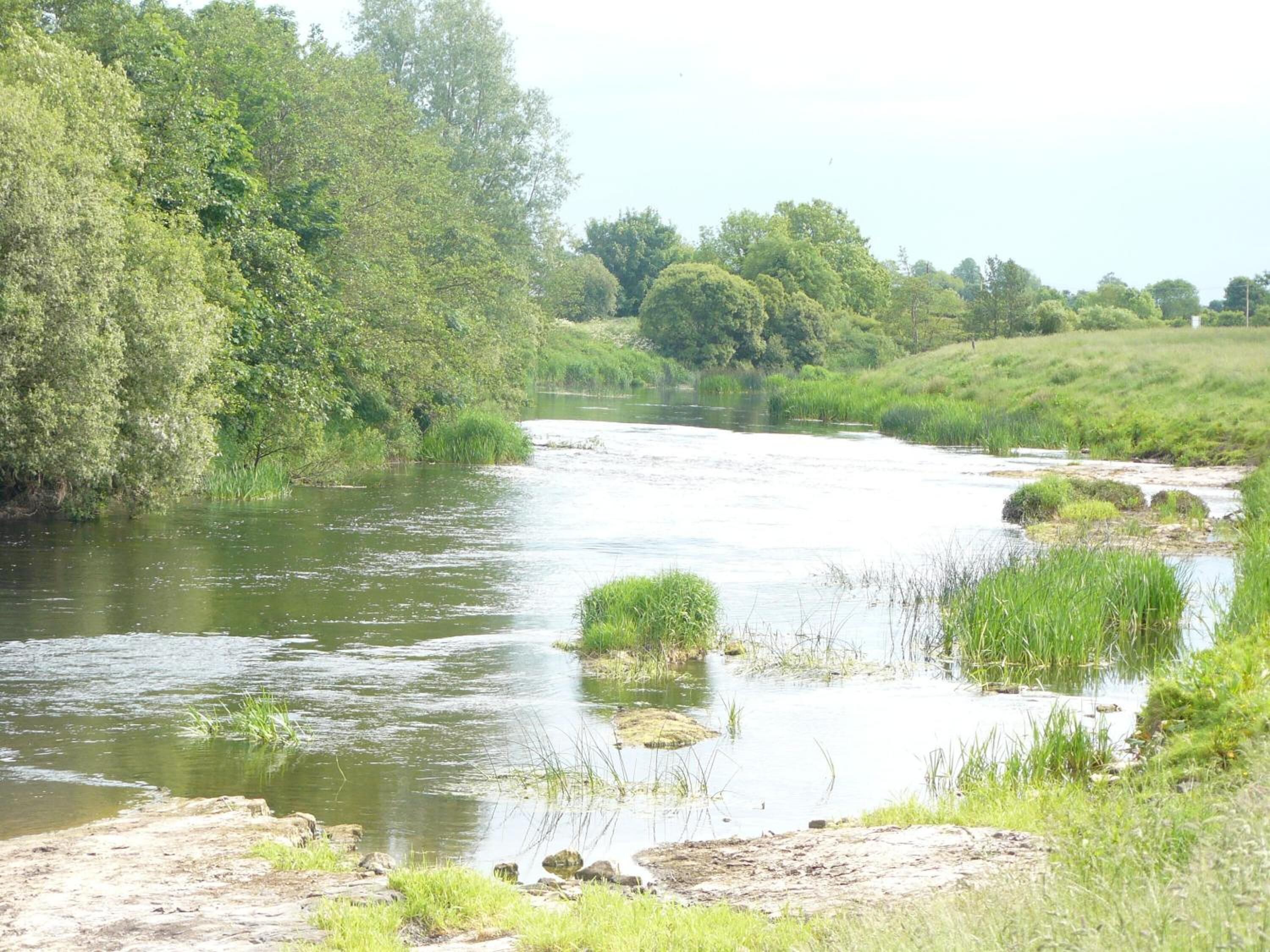 Foto - Boyne View House