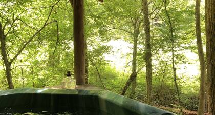 Smokey Mtn. Romantic Handcrafted Cabins