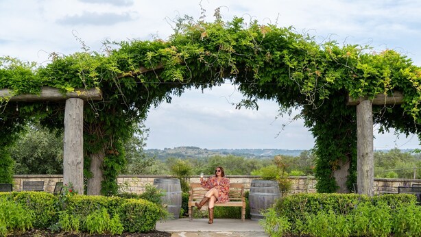 Eine Holzbank unter einer mit Weinreben bewachsenen Pergola in einem angelegten Garten mit Steinwegen und Blick auf entfernte Hügel.
