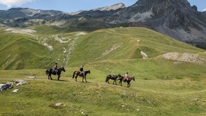 Eine Berglandschaft mit drei Pferden und Reitern.