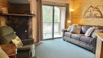 TV, fireplace, books, offices