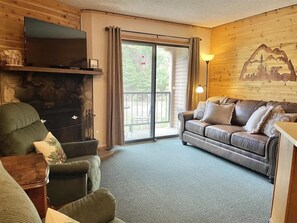 TV, fireplace, books, offices