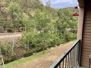 Property grounds - Bluebird Day 228 (Ruidoso)