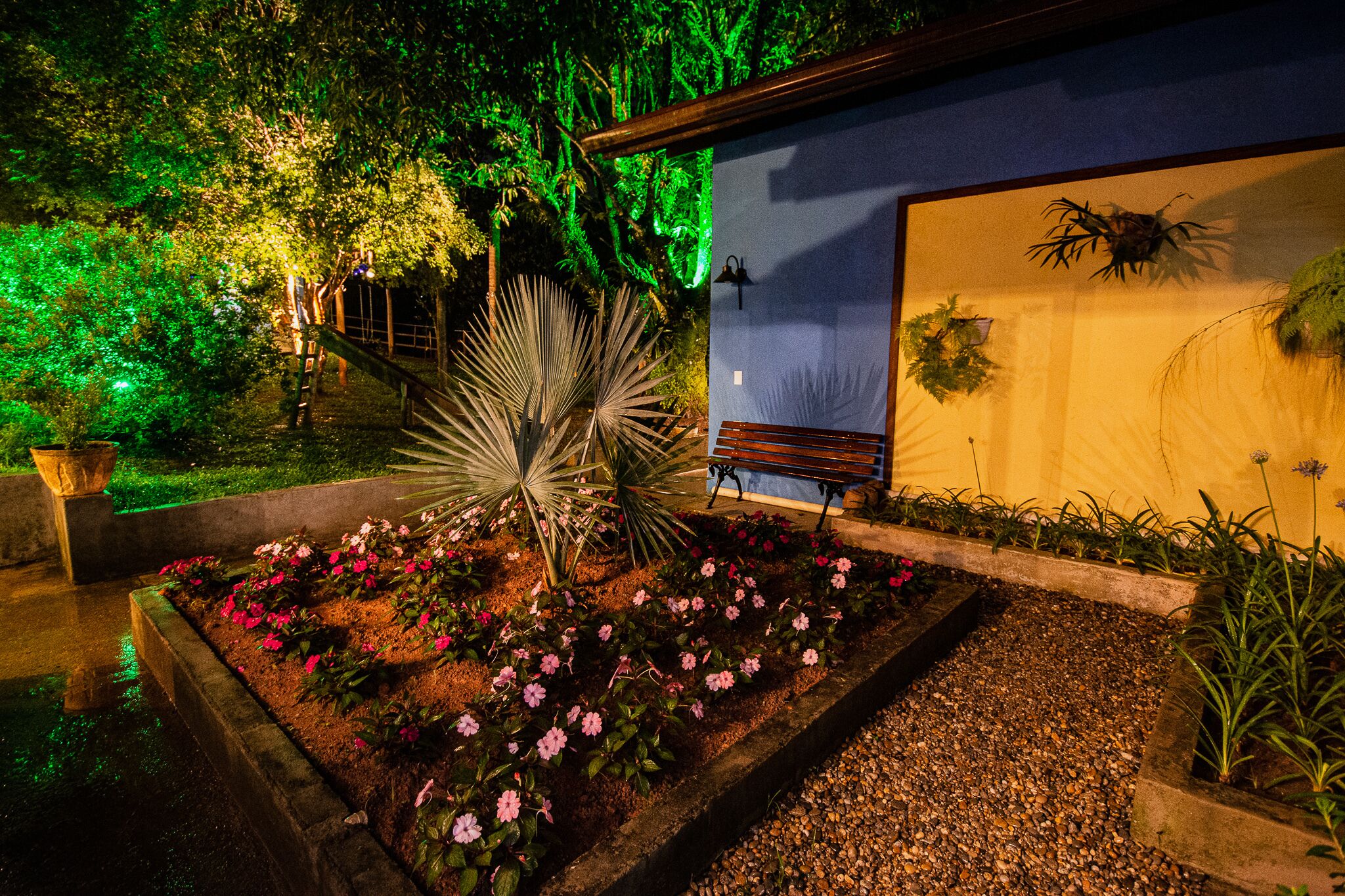 A garden area with a bench, a pathway, and various plants.