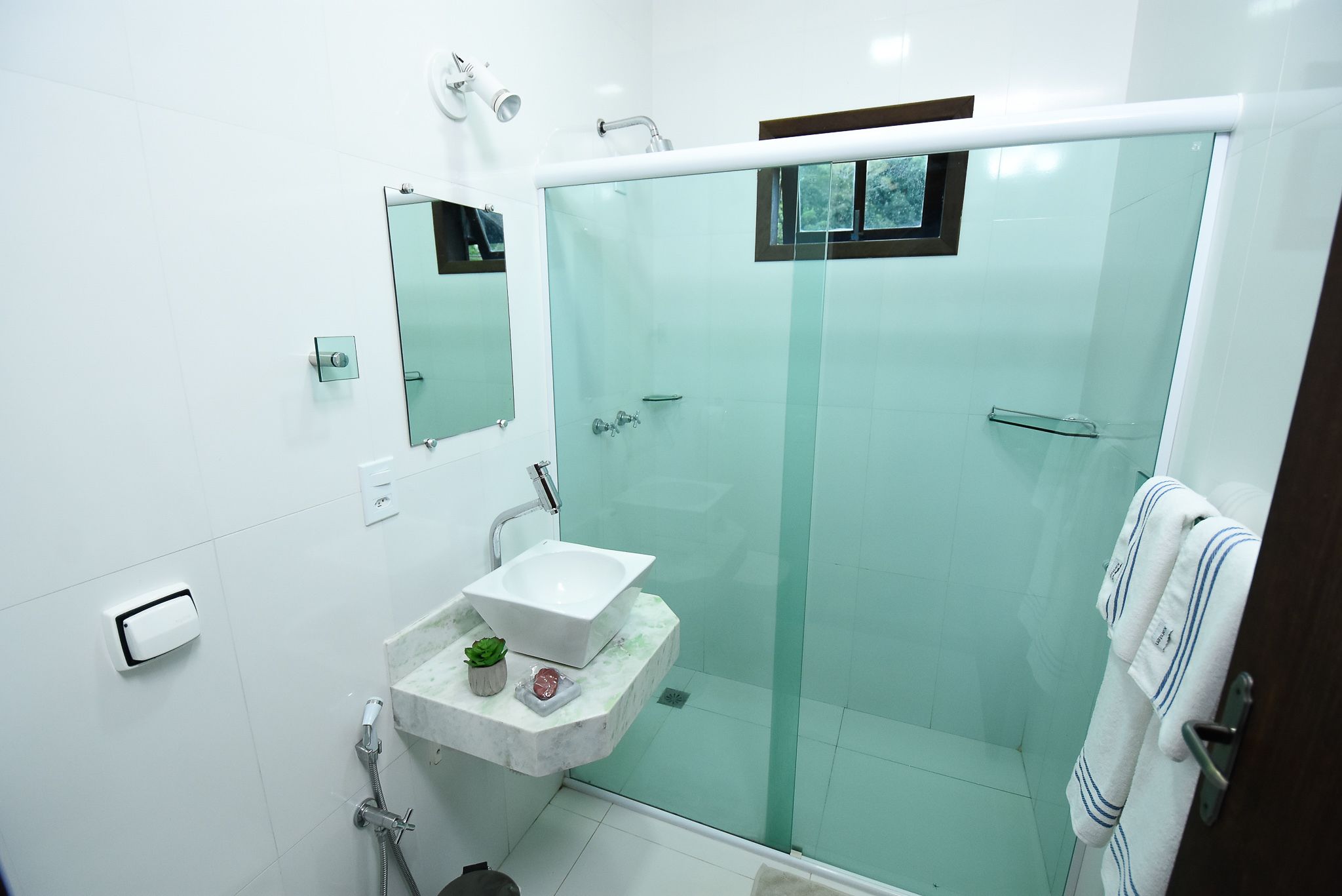 Une salle de bain moderne avec une douche en verre, un lavabo en marbre et une petite plante en pot.