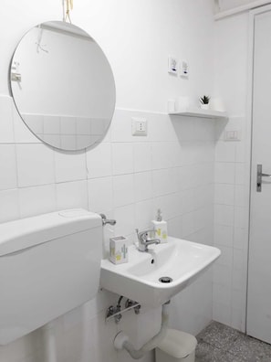 Hair dryer, bidet, towels, soap