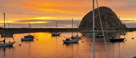 Premier penthouse | Terras