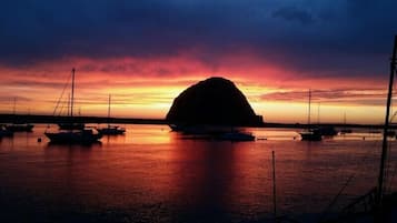 尊贵套房 | 露台