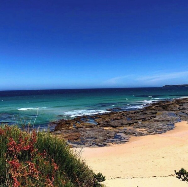 Playa en los alrededores y camastros 