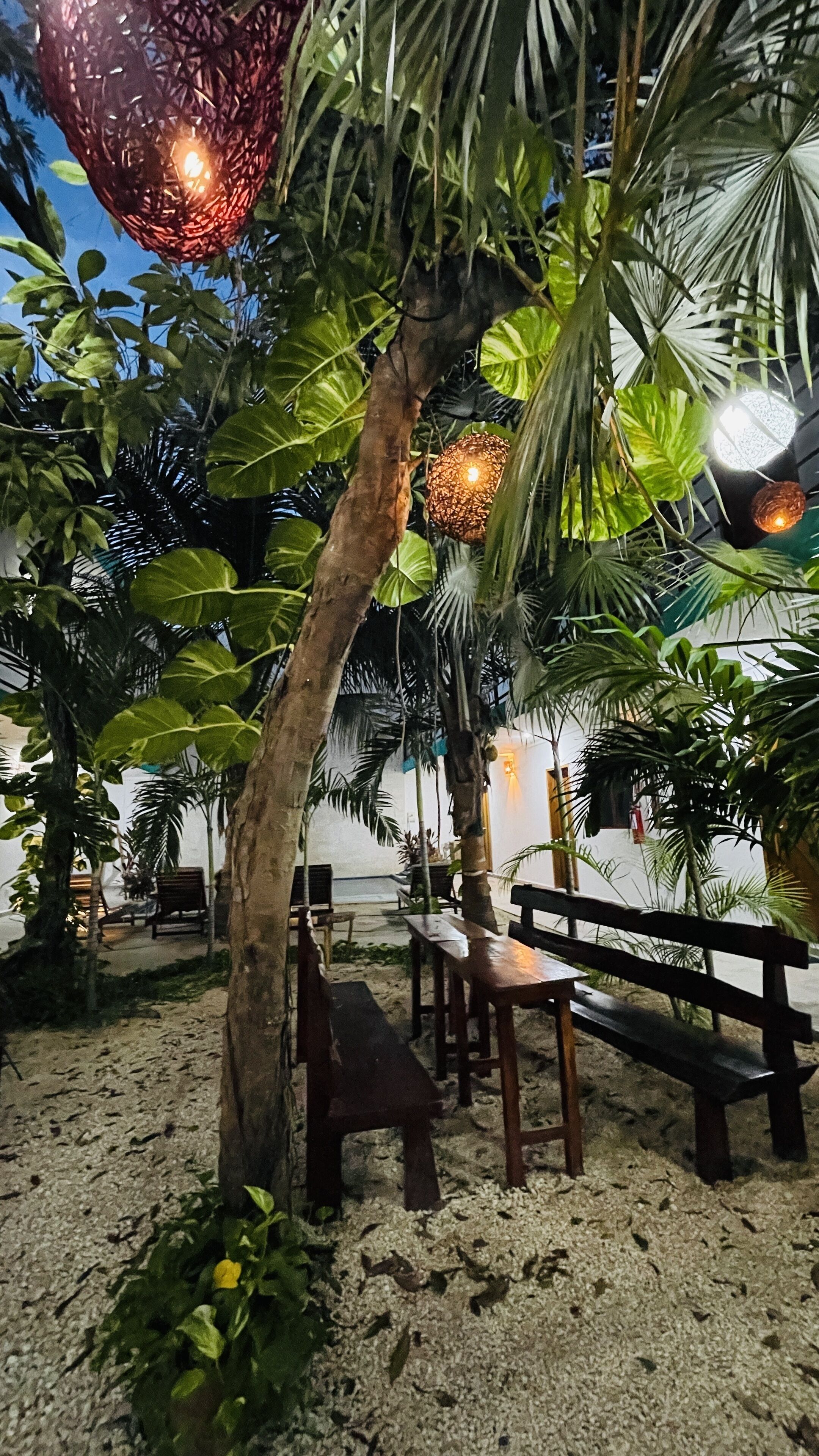 Photo - Los Arcos Hotel - TULUM